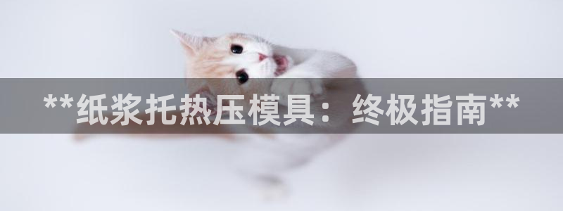 易倍申不良反应：**纸浆托热压模具：终极指南**