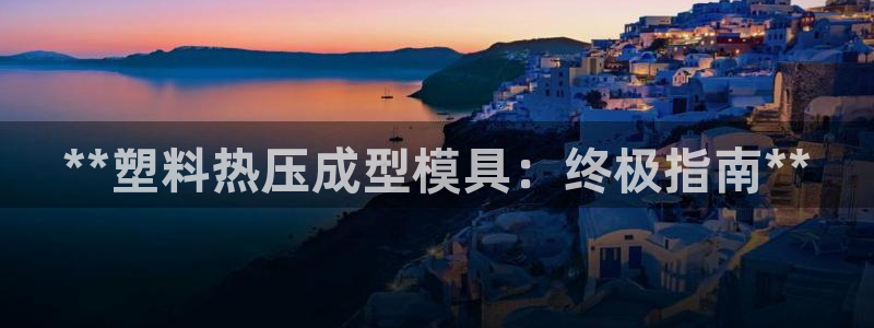易倍申多少钱一盒：**塑料热压成型模具：终极指南**