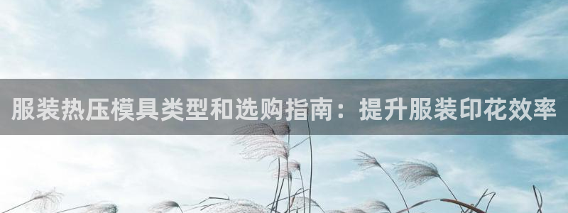 EMC倍频原理：服装热压模具类型和选购指南：提升服装印花