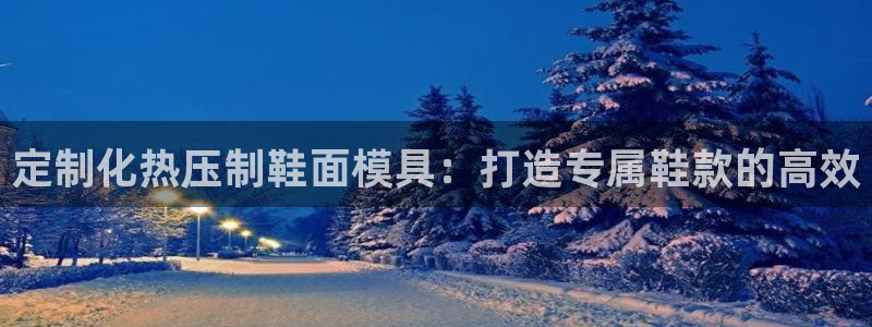 易倍app网站：定制化热压制鞋面模具：打造专属鞋款的高效