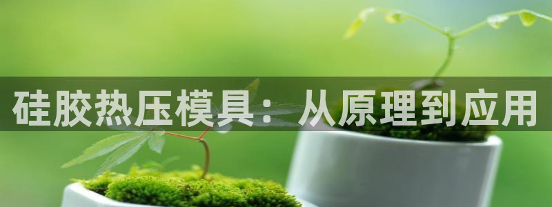 易倍思机电制造(上海)有限公司：硅胶热压模具：从原理到应