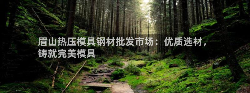 EMC易倍：眉山热压模具钢材批发市场：优质选材，
铸就完
