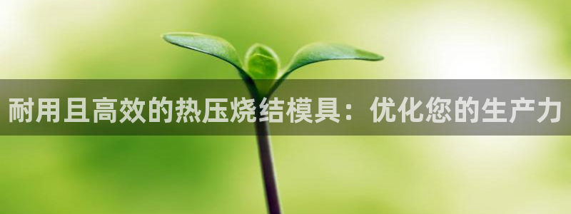 Emc易赔体育：耐用且高效的热压烧结模具：优化您的生产力