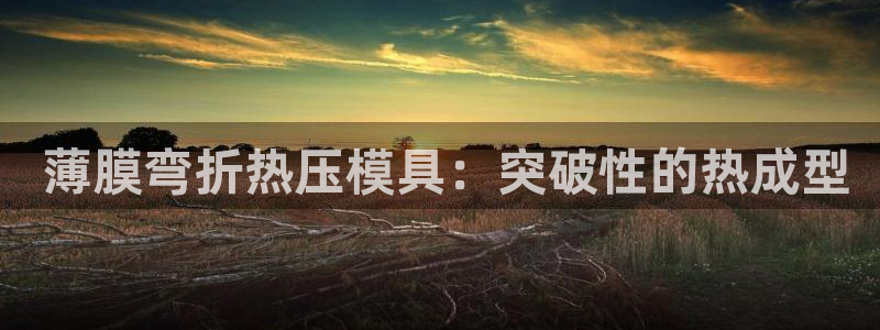 易倍申每盒价格是多少?： 薄膜弯折热压模具：突破性的热成