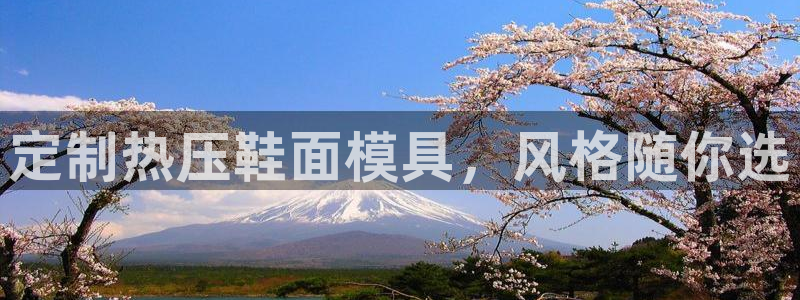 emc备份软件：定制热压鞋面模具，风格随你选