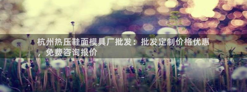 EMC易倍：杭州热压鞋面模具厂批发：批发定制价格优惠
，