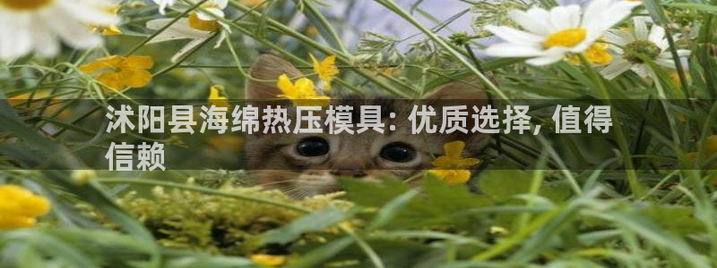 emc易倍官网首页：沭阳县海绵热压模具: 优质选择, 值