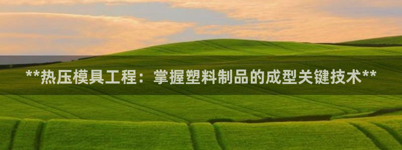 易倍纤代餐奶昔怎么样：**热压模具工程：掌握塑料制品的成
