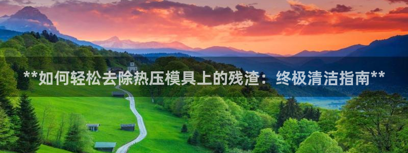 易倍app网站：**如何轻松去除热压模具上的残渣：终极清