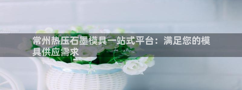 emc易倍首页：常州热压石墨模具一站式平台：满足您的模
