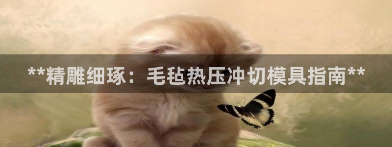 emc易倍是黑台子吗：**精雕细琢：毛毡热压冲切模具指南