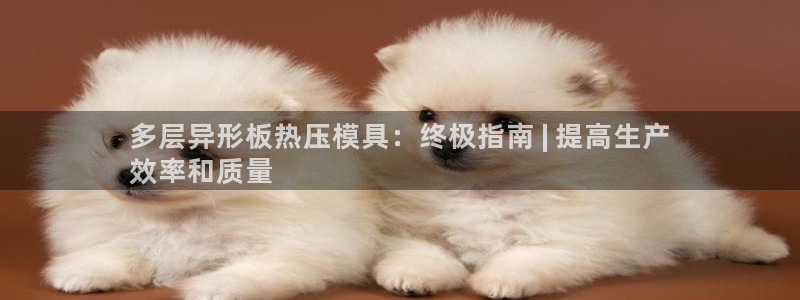 易倍网络技术有限公司官网：多层异形板热压模具：终极指南 