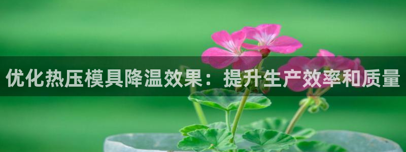易倍思怎么样：优化热压模具降温效果：提升生产效率和质量