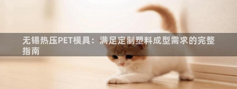 易倍申价格：无锡热压PET模具：满足定制塑料成型需求的完