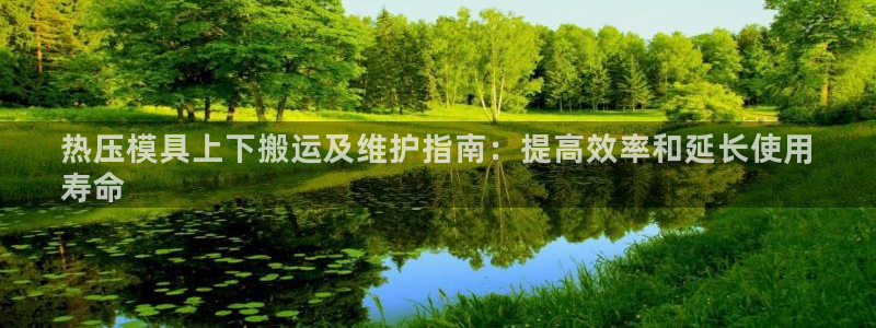 易倍网络技术有限公司官网：热压模具上下搬运及维护指南：提