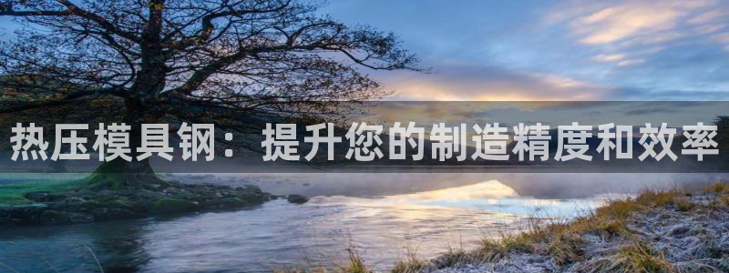 易倍纤价格：热压模具钢：提升您的制造精度和效率