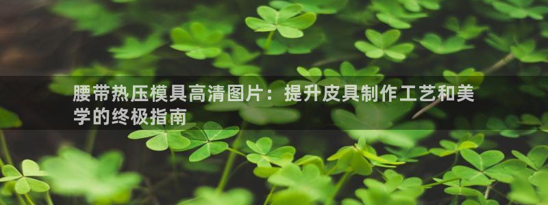 emc登录网站：腰带热压模具高清图片：提升皮具制作工艺和