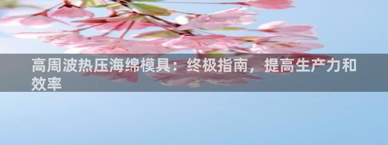 易倍思教育：高周波热压海绵模具：终极指南，提高生产力和
