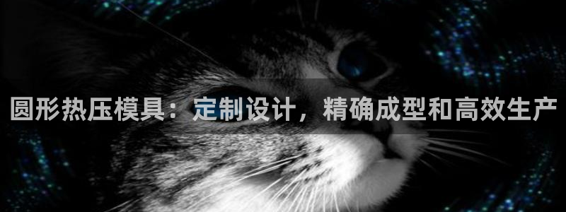 杭州易倍达科技有限公司怎么样：圆形热压模具：定制设计，精