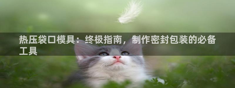 易倍单词app官网：热压袋口模具：终极指南，制作密封包装