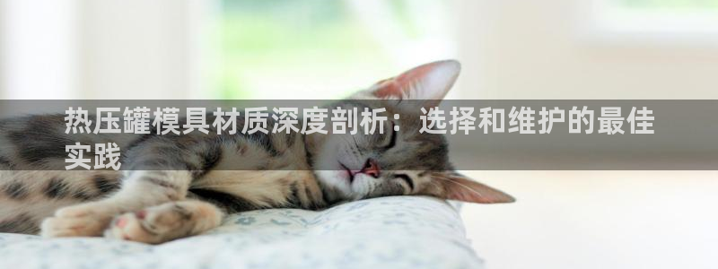 易倍思机电制造(上海)有限公司：热压罐模具材质深度剖析：