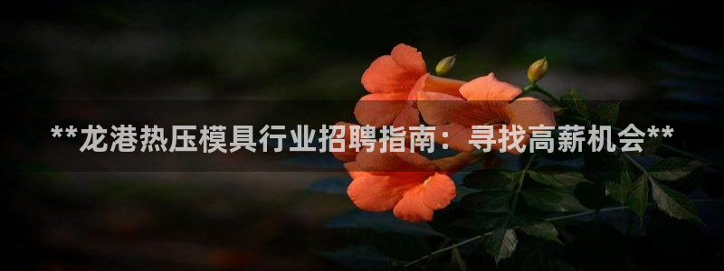 emc全站app下载：**龙港热压模具行业招聘指南：寻找