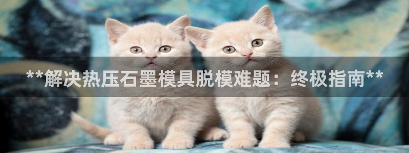 易倍申竞品：**解决热压石墨模具脱模难题：终极指南**