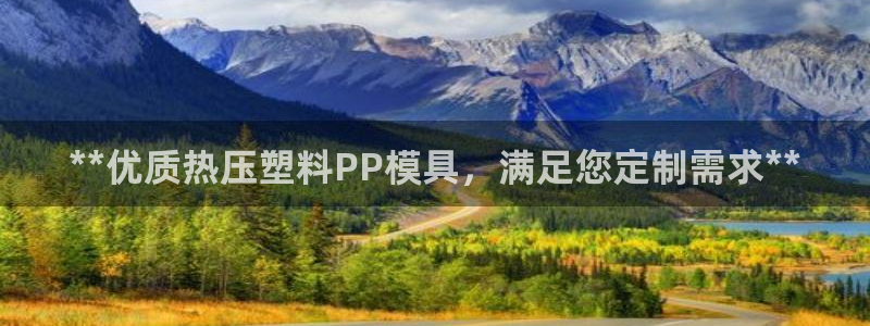 易倍下载：**优质热压塑料PP模具，满足您定制需求**