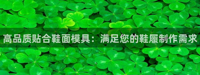 易倍企业管理软件怎么样：高品质贴合鞋面模具：满足您的鞋履