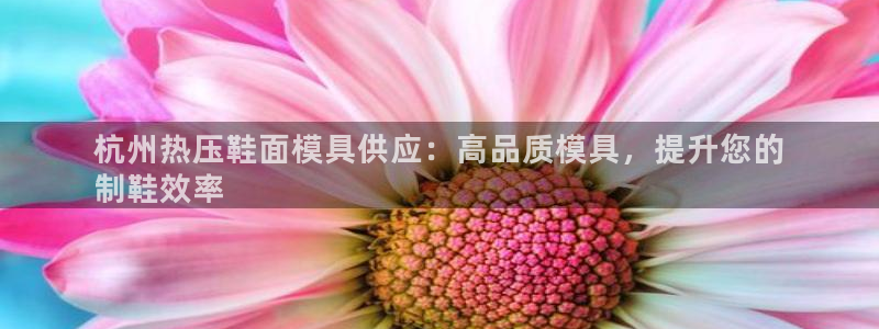 易倍单词app下载：杭州热压鞋面模具供应：高品质模具，提