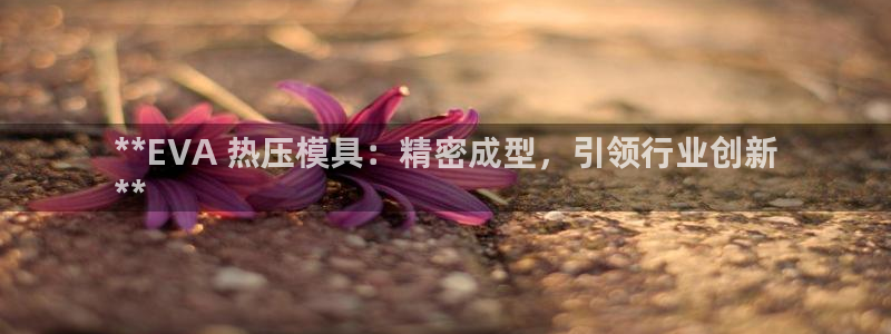 emc易倍穆里尼奥：**EVA 热压模具：精密成型，引领
