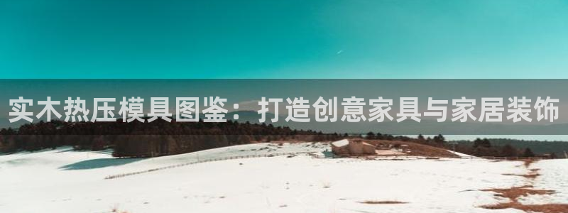 emc易倍官网app：实木热压模具图鉴：打造创意家具与家