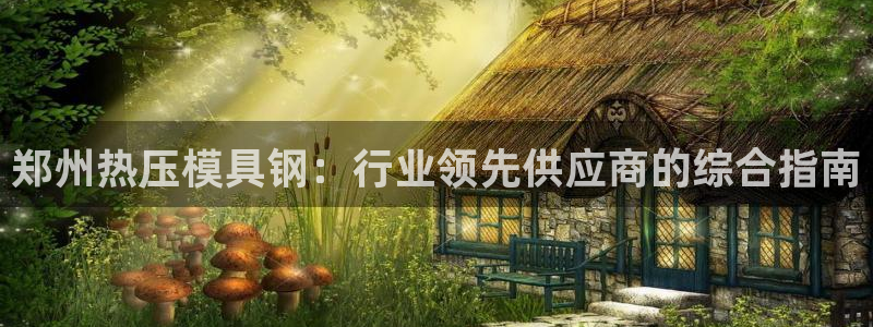 易倍emc网址网页版本登陆：郑州热压模具钢：行业领先供应