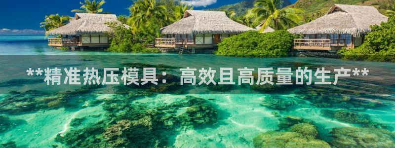 emc app下载：**精准热压模具：高效且高质量的生产