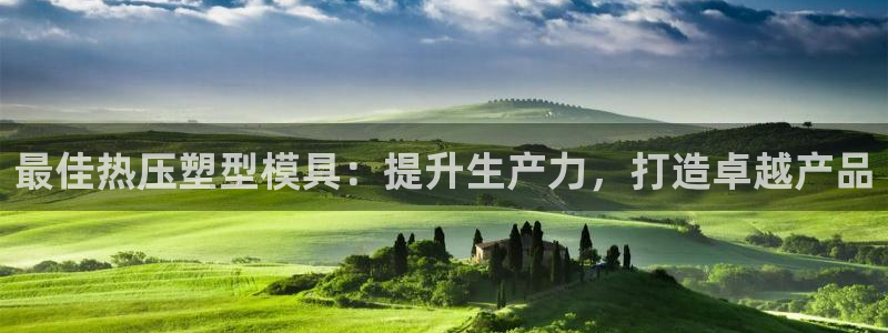 易倍单词官方网站的：最佳热压塑型模具：提升生产力，打造卓