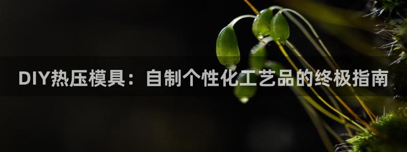 易倍纤使用方法：DIY热压模具：自制个性化工艺品的终极指
