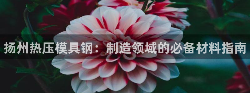 易倍纤使用方法：扬州热压模具钢：制造领域的必备材料指南