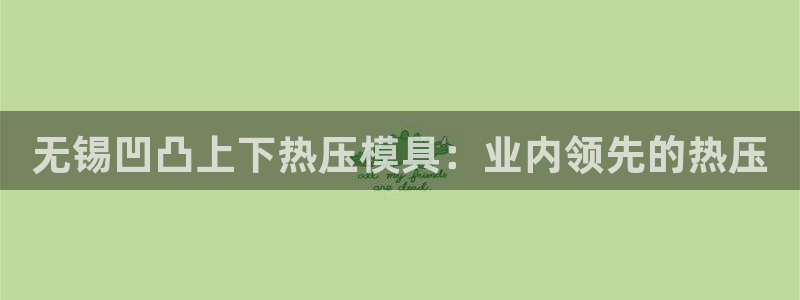 杭州易倍达：无锡凹凸上下热压模具：业内领先的热压

