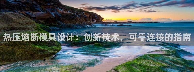易倍达科技有限公司官网：热压熔断模具设计：创新技术，可靠
