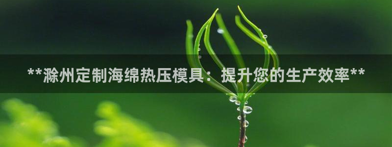 emc倍频干扰怎么解决：**滁州定制海绵热压模具：提升您