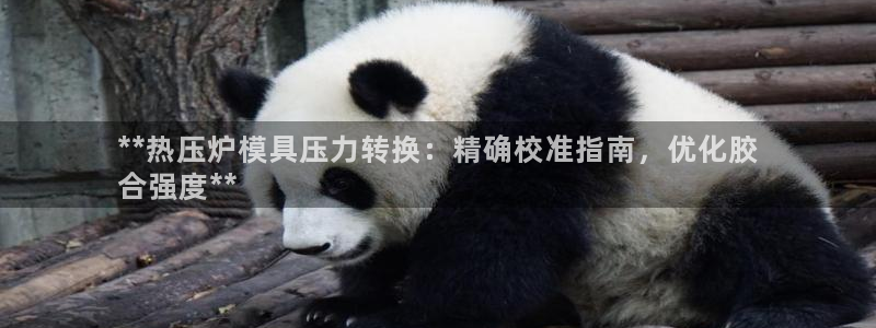 易倍网络技术有限公司：**热压炉模具压力转换：精确校准指