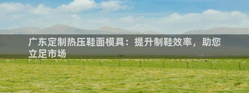 emc易倍ios官网：广东定制热压鞋面模具：提升制鞋效率