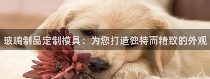 易倍网络技术有限公司是干嘛的：玻璃制品定制模具：为您打造