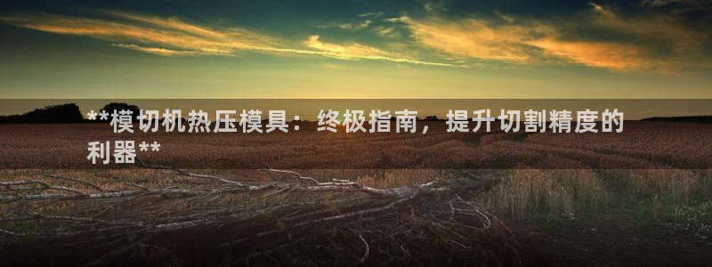 emc易倍登录：**模切机热压模具：终极指南，提升切割精
