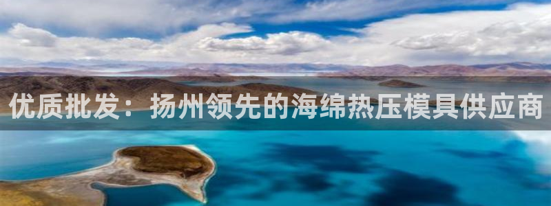 易倍emc网址网页版本登陆：优质批发：扬州领先的海绵热压