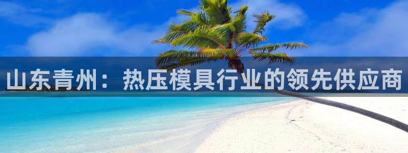 emc平台：山东青州：热压模具行业的领先供应商