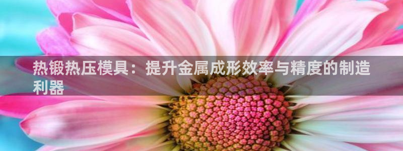 emc易倍ios官网：热锻热压模具：提升金属成形效率与精