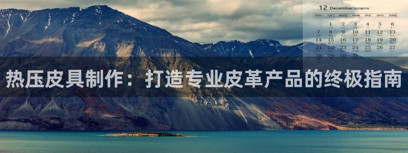 emc低频不过：热压皮具制作：打造专业皮革产品的终极指南
