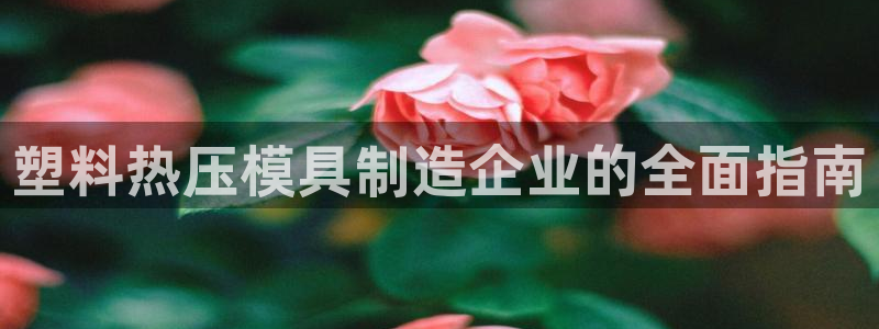 易倍纤多少钱：塑料热压模具制造企业的全面指南
