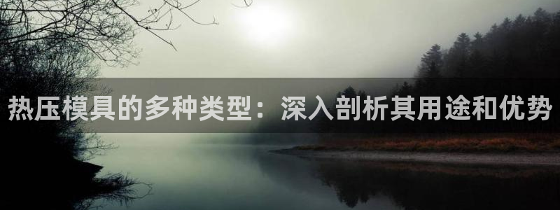 emc易倍登录：热压模具的多种类型：深入剖析其用途和优势
